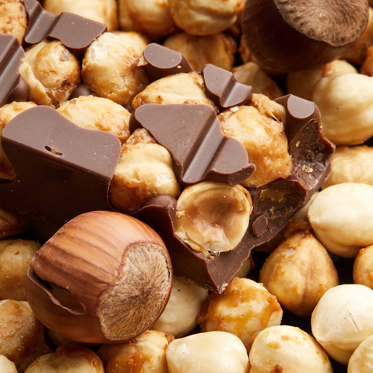 Premium hazelnut chocolate bars with fresh, plump, whole uncut Turkish hazelnuts