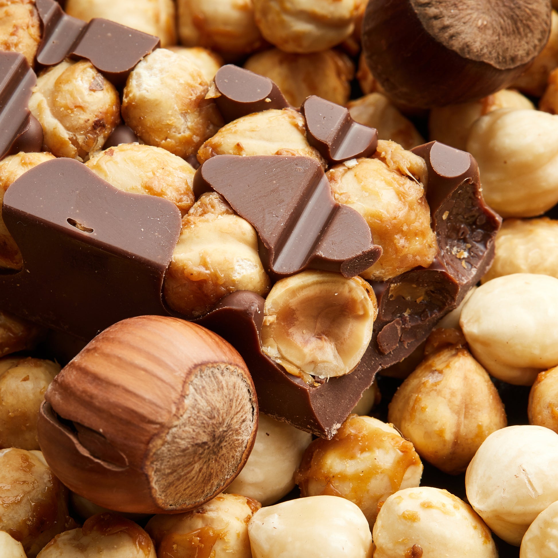 Premium hazelnut chocolate bars with fresh, plump, whole uncut Turkish hazelnuts